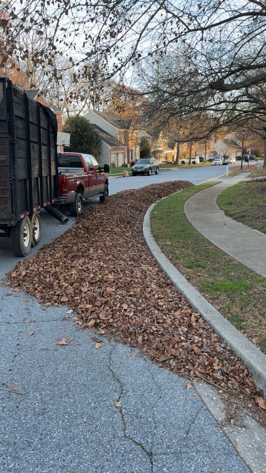 Leaf Cleanup and Removal in Fallston