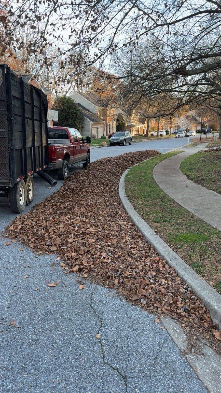 Leaf Cleanup & Removal